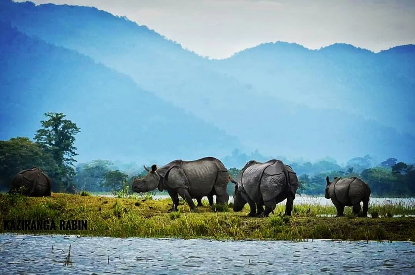 Kaziranga national park